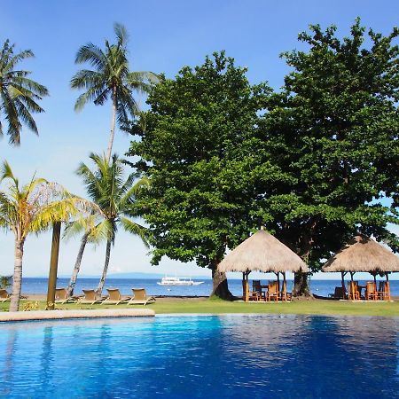 Pura Vida Beach & Dive Resort Dauin Extérieur photo