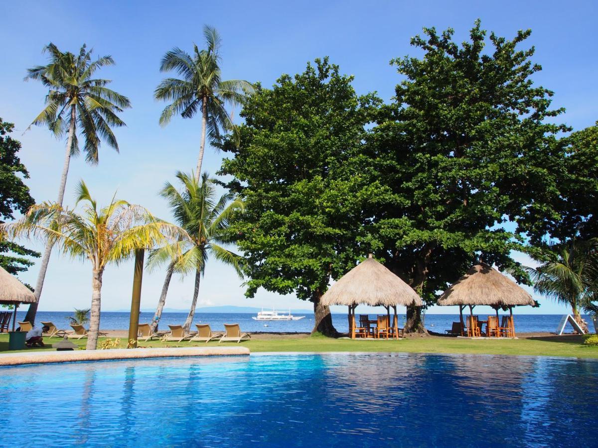 Pura Vida Beach & Dive Resort Dauin Extérieur photo