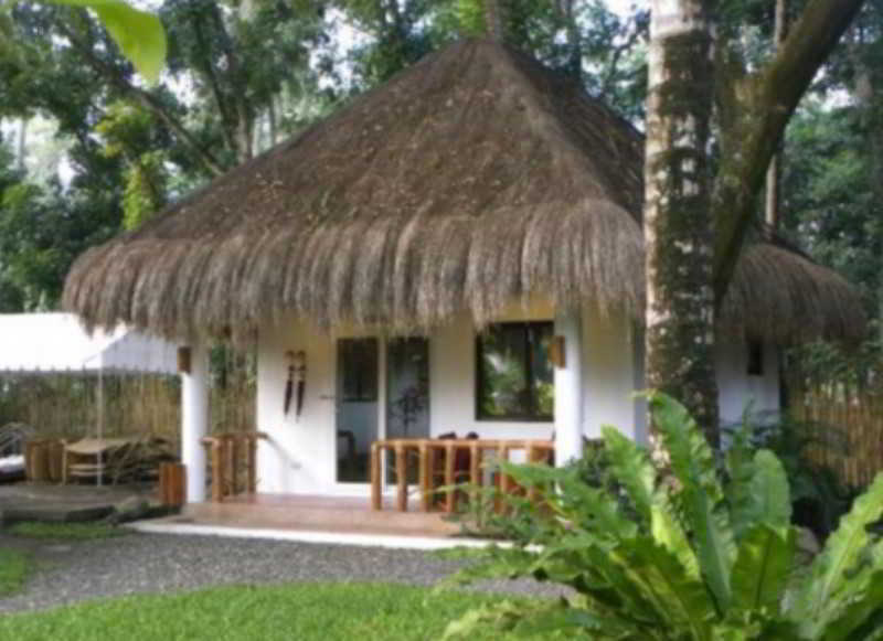 Pura Vida Beach & Dive Resort Dauin Extérieur photo