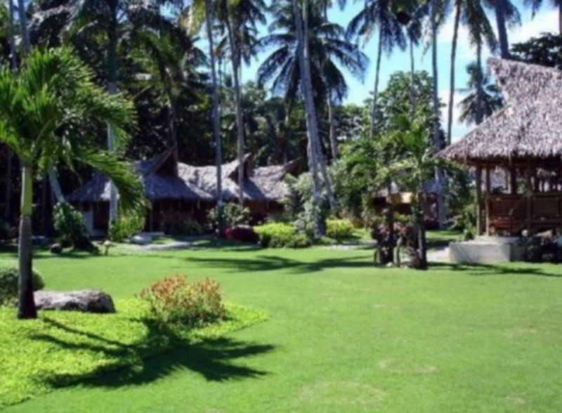 Pura Vida Beach & Dive Resort Dauin Extérieur photo
