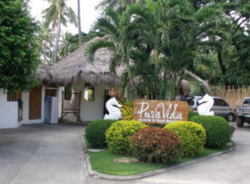 Pura Vida Beach & Dive Resort Dauin Extérieur photo