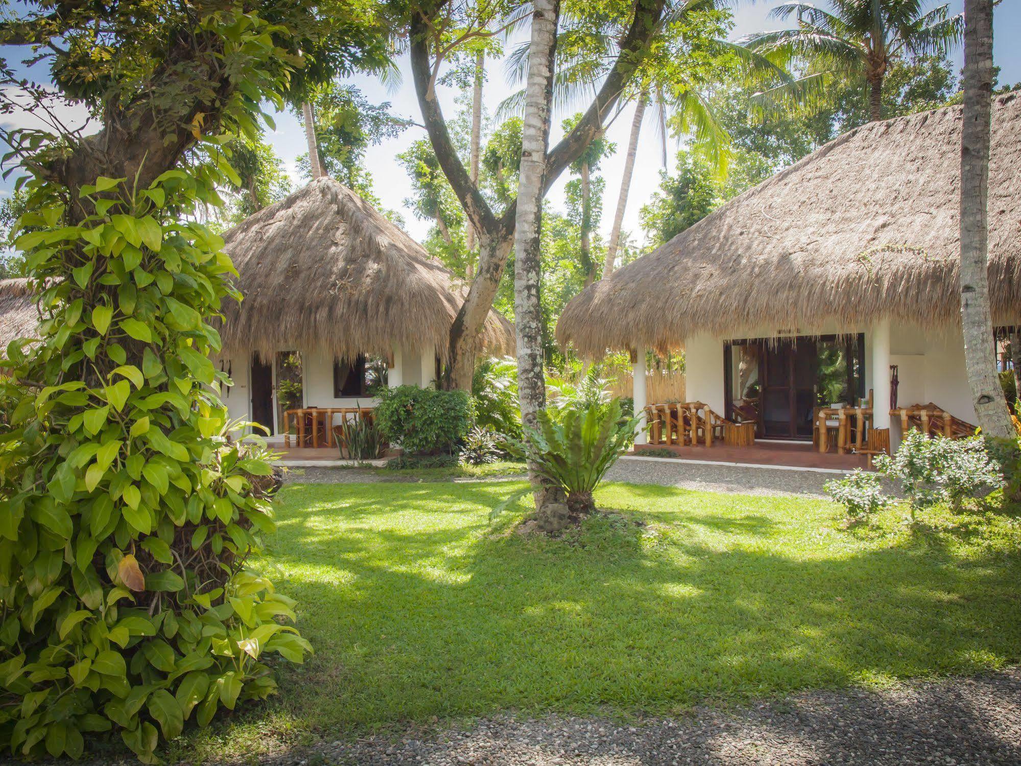 Pura Vida Beach & Dive Resort Dauin Extérieur photo