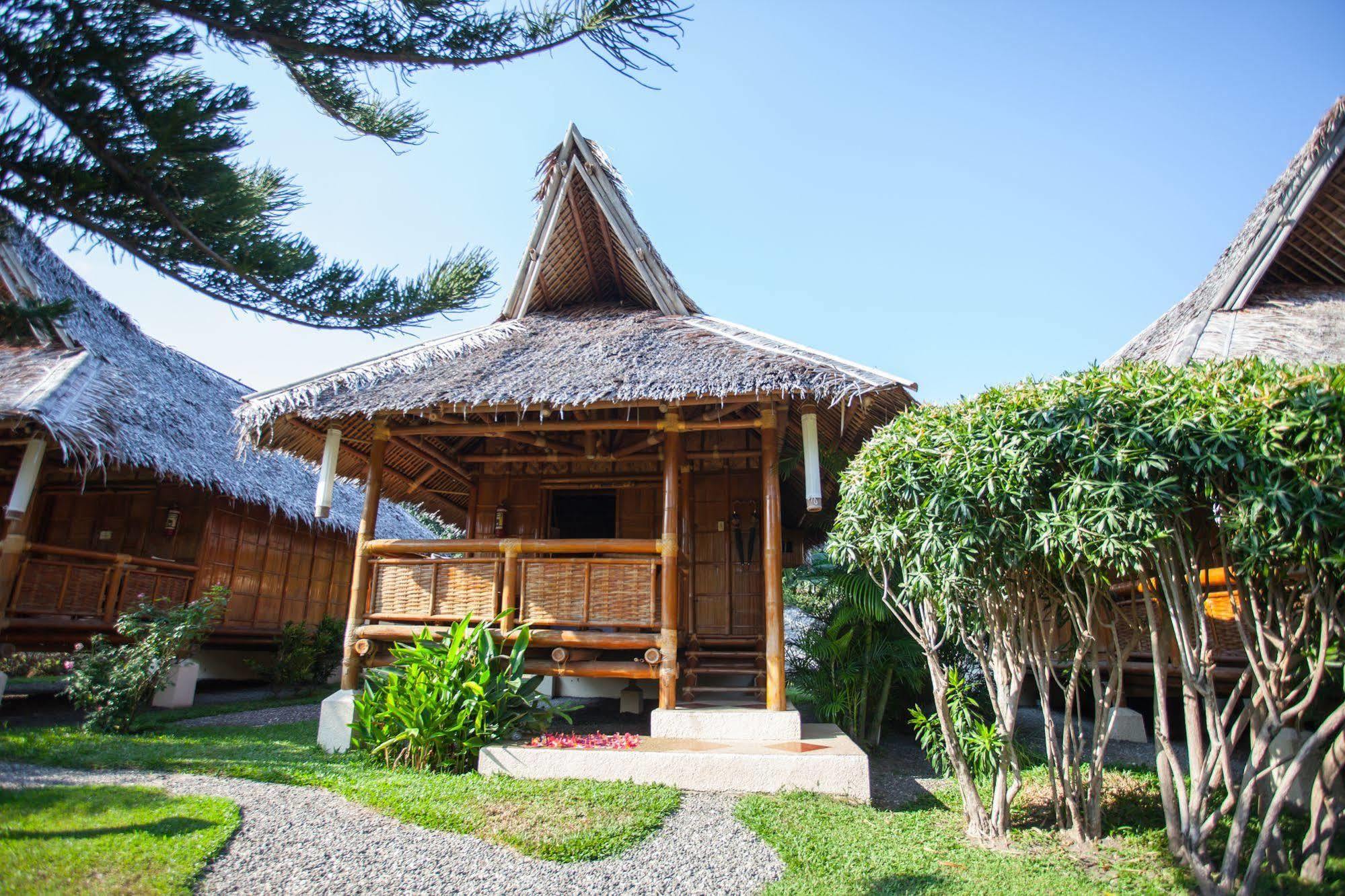 Pura Vida Beach & Dive Resort Dauin Extérieur photo