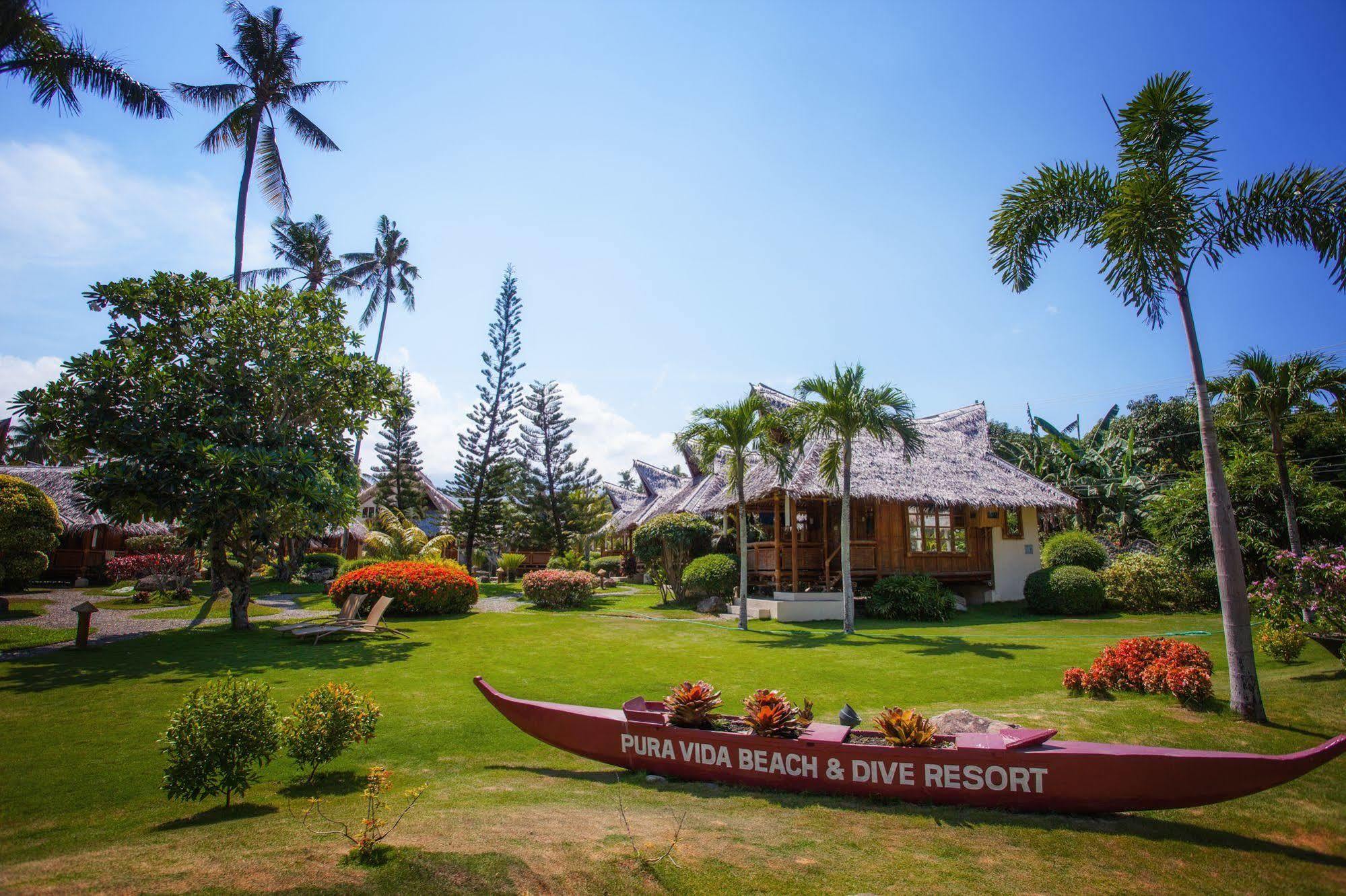 Pura Vida Beach & Dive Resort Dauin Extérieur photo