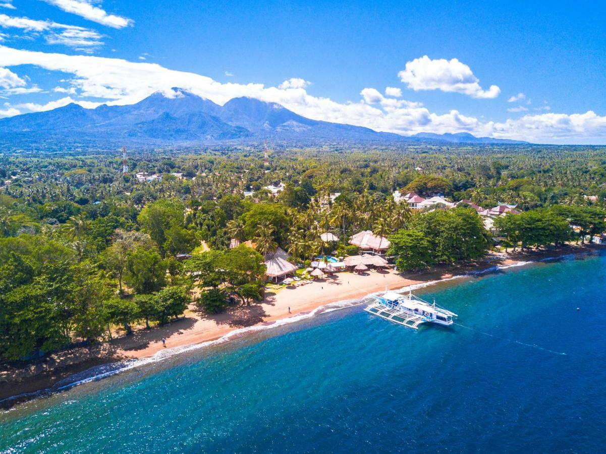 Pura Vida Beach & Dive Resort Dauin Extérieur photo
